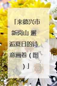 来德兴市新岗山 邂逅夏日的诗意画卷（图）