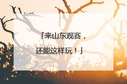 来山东观赛，还能这样玩！