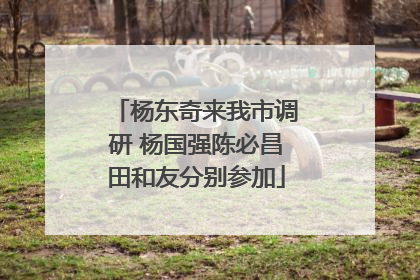 杨东奇来我市调研 杨国强陈必昌田和友分别参加