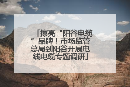 擦亮“阳谷电缆”品牌！市场监管总局到阳谷开展电线电缆专题调研