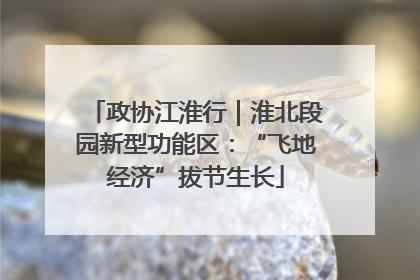 政协江淮行｜淮北段园新型功能区：“飞地经济”拔节生长