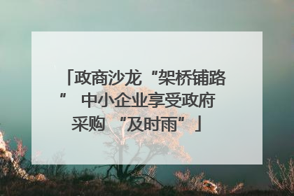 政商沙龙“架桥铺路” 中小企业享受政府采购 “及时雨”