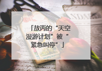 敖丙的“天空漫游计划”被“紧急叫停”