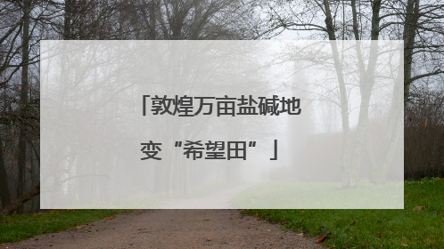 敦煌万亩盐碱地变“希望田”
