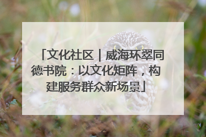 文化社区｜威海环翠同德书院：以文化矩阵，构建服务群众新场景