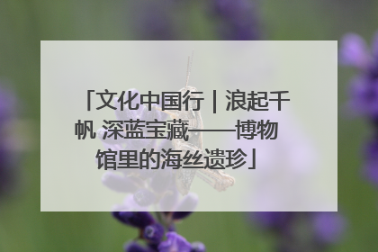 文化中国行｜浪起千帆 深蓝宝藏——博物馆里的海丝遗珍