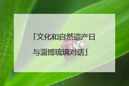 文化和自然遗产日与淄博琉璃对话