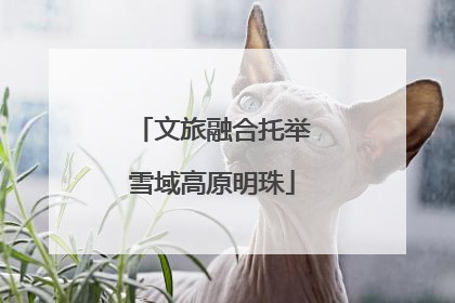 文旅融合托举雪域高原明珠