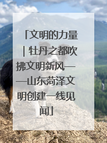 文明的力量｜牡丹之都吹拂文明新风——山东菏泽文明创建一线见闻