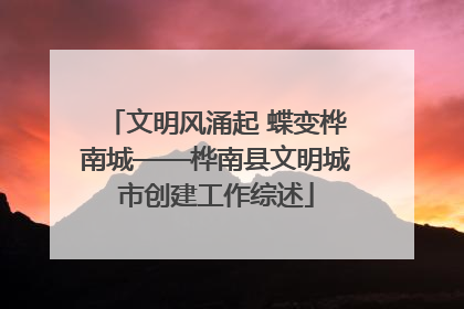 文明风涌起 蝶变桦南城——桦南县文明城市创建工作综述