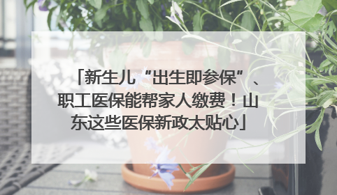 新生儿“出生即参保”、职工医保能帮家人缴费！山东这些医保新政太贴心