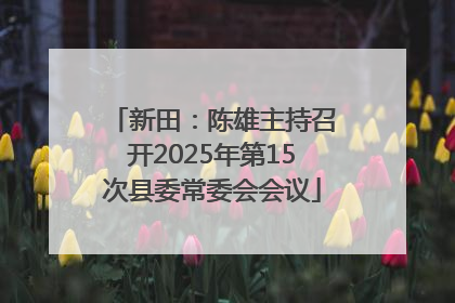 新田：陈雄主持召开2025年第15次县委常委会会议