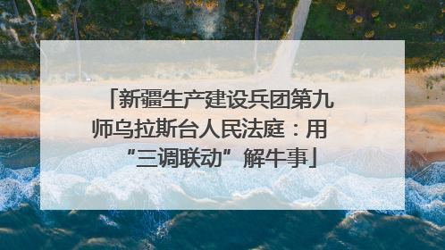 新疆生产建设兵团第九师乌拉斯台人民法庭：用“三调联动”解牛事