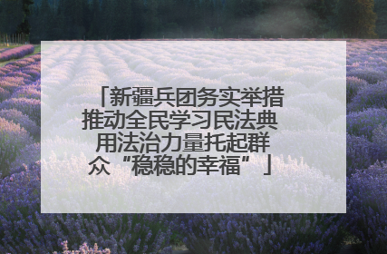 新疆兵团务实举措推动全民学习民法典 用法治力量托起群众“稳稳的幸福”