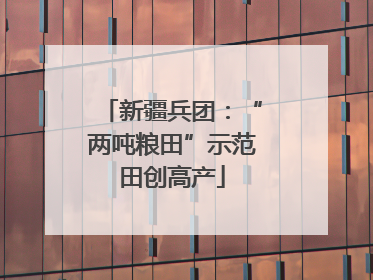 新疆兵团：“两吨粮田”示范田创高产
