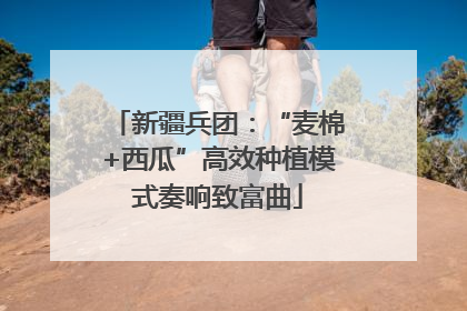 新疆兵团：“麦棉+西瓜”高效种植模式奏响致富曲