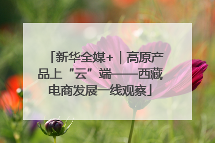 新华全媒+｜高原产品上“云”端——西藏电商发展一线观察