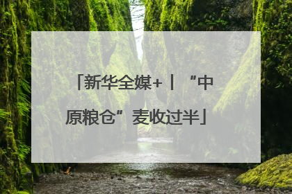 新华全媒+丨“中原粮仓”麦收过半