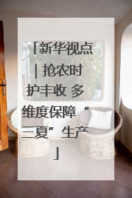 新华视点｜抢农时 护丰收 多维度保障“三夏”生产