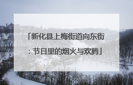 新化县上梅街道向东街：节日里的烟火与欢腾