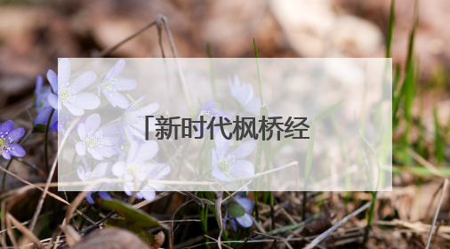新时代枫桥经验的文化密码：专家学者共话传统治理智慧