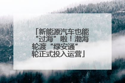 新能源汽车也能“过海”啦！渤海轮渡“绿安通” 轮正式投入运营