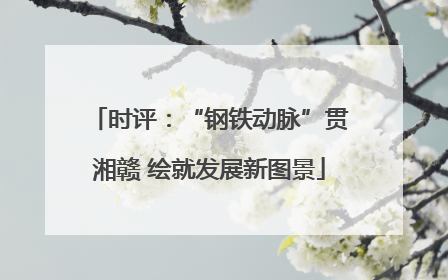 时评：“钢铁动脉”贯湘赣 绘就发展新图景