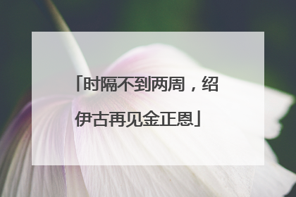 时隔不到两周，绍伊古再见金正恩