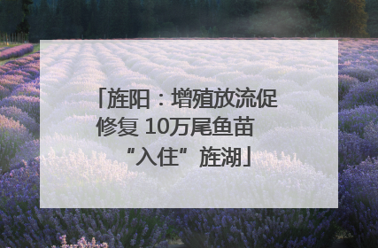 旌阳：增殖放流促修复 10万尾鱼苗“入住”旌湖