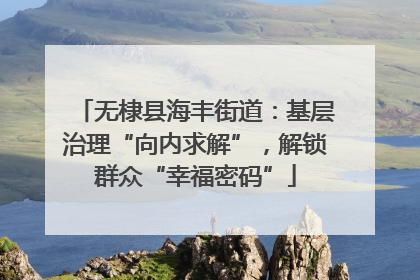 无棣县海丰街道：基层治理“向内求解”，解锁群众“幸福密码”