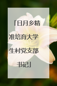 日月乡精准培育大学生村党支部书记