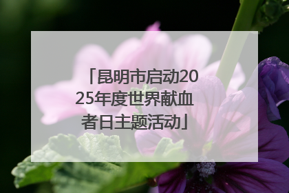 昆明市启动2025年度世界献血者日主题活动