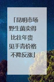 昆明市场野生菌卖得比往年贵 见手青价格不降反涨