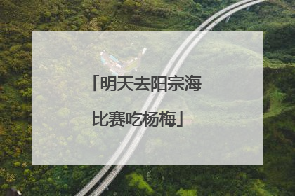 明天去阳宗海比赛吃杨梅