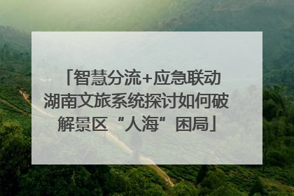智慧分流+应急联动 湖南文旅系统探讨如何破解景区“人海”困局