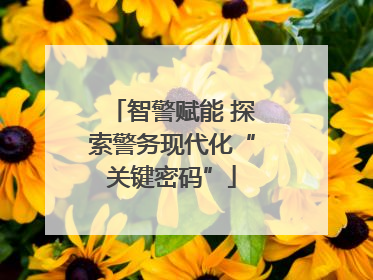 智警赋能 探索警务现代化“关键密码”
