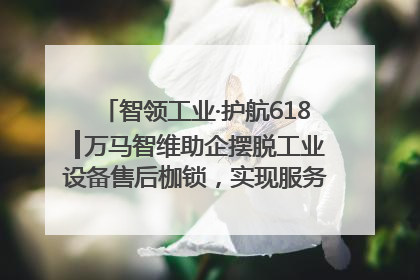 智领工业·护航618┃万马智维助企摆脱工业设备售后枷锁，实现服务与效能价值共振！