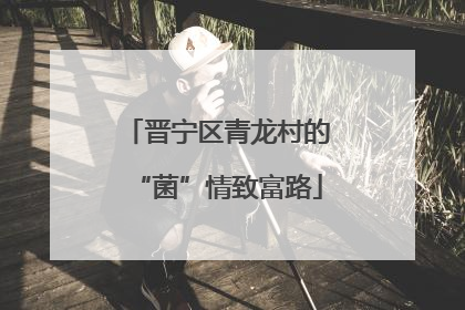 晋宁区青龙村的“菌”情致富路