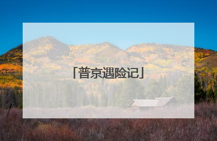 普京遇险记