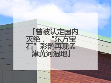 曾被认定国内灭绝，“东方宝石”彩鹮再现孟津黄河湿地