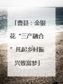 曹县：金银花“三产融合”托起乡村振兴致富梦