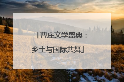 曹庄文学盛典：乡土与国际共舞