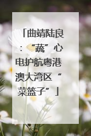 曲靖陆良：“蔬”心电护航粤港澳大湾区“菜篮子”