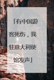 有中国游客死伤，我驻意大利使馆发声