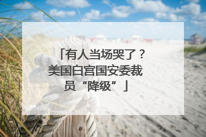 有人当场哭了？美国白宫国安委裁员“降级”