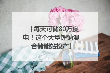 每天可储80万度电！这个大型锂钠混合储能站投产