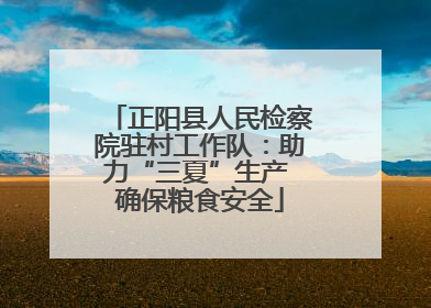 正阳县人民检察院驻村工作队：助力“三夏”生产 确保粮食安全