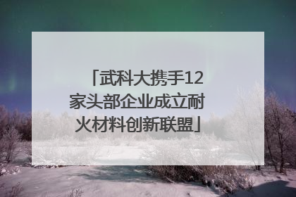 武科大携手12家头部企业成立耐火材料创新联盟