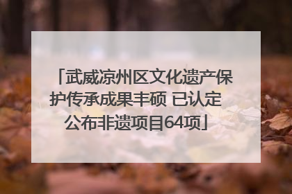 武威凉州区文化遗产保护传承成果丰硕 已认定公布非遗项目64项