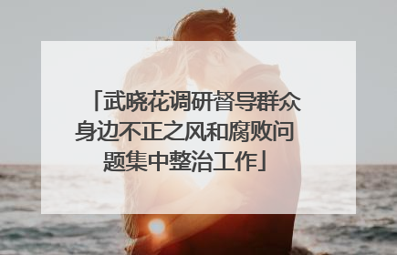 武晓花调研督导群众身边不正之风和腐败问题集中整治工作